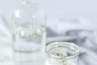 DIY Toilet Cleaner 2 Natural Recipes