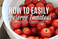 Konservesiz Domates Dondurma: Kışa Pratik Saklama Yöntemi