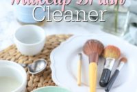 Natural Homemade Brush Wash