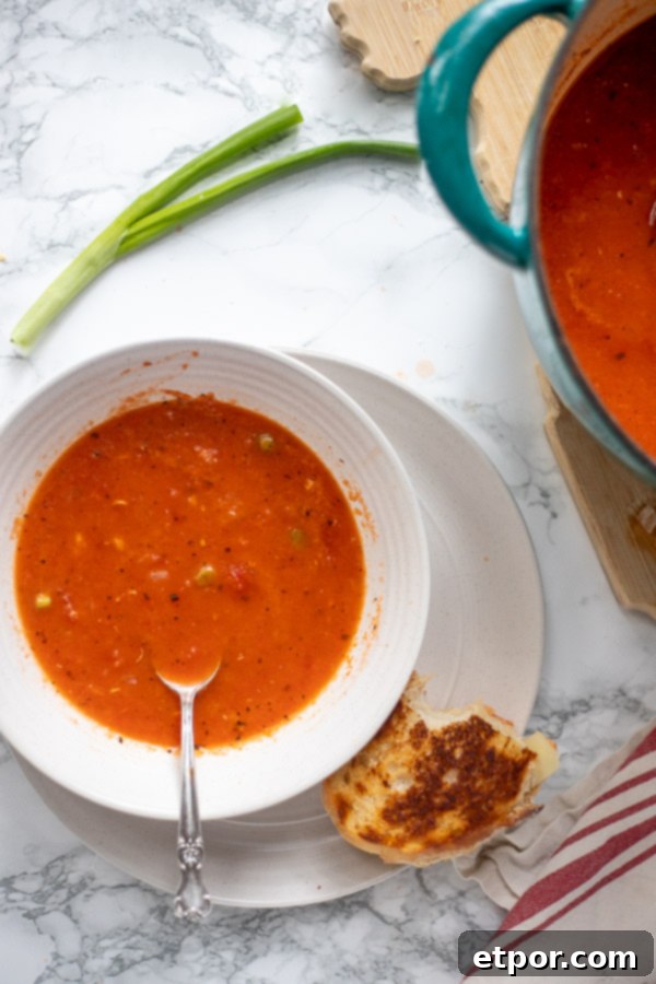 easy tomato soup recipe in a bowl with a dutch oven to the right.