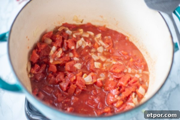canned tomato with onions and garlic to make homemade tomato soup