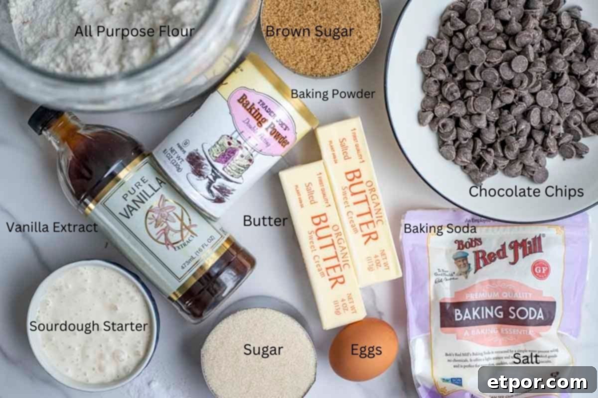 Cultured Chocolate Chip Cookies 3 Essential ingredients for sourdough chocolate chip cookies including flour, chocolate chips, softened butter, brown sugar, white sugar, and more, artfully arranged on a marble countertop.