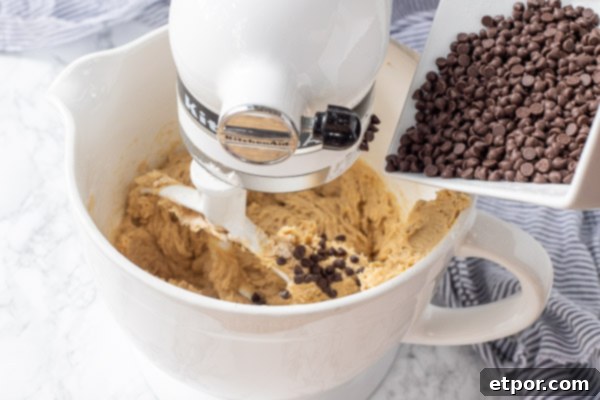 Cultured Chocolate Chip Cookies 8 Chocolate chips being folded into the prepared sourdough cookie dough in a stand mixer bowl, ensuring even distribution.