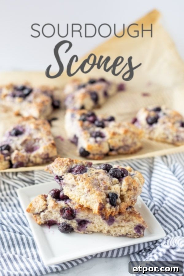 Two golden brown blueberry sourdough scones on a white plate, with more scones on parchment paper in the background.