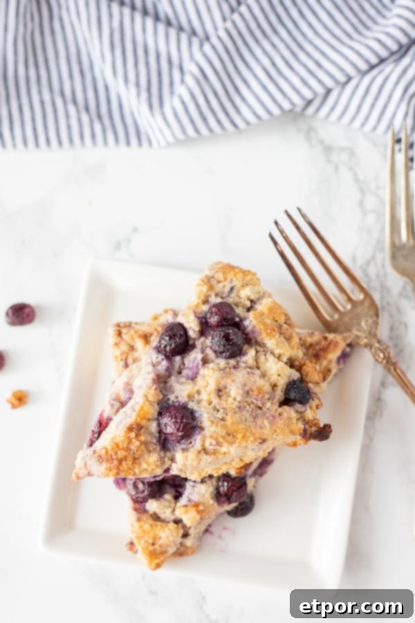 Overhead shot of two freshly baked blueberry sourdough scones on a white plate with an antique fork, a blue and white towel blurred in the background.