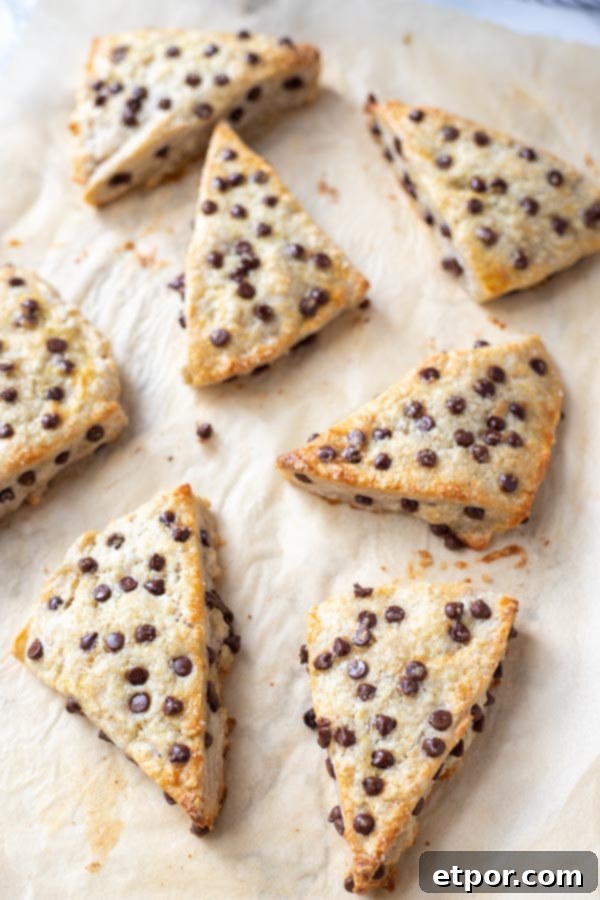 Freshly baked chocolate chip sourdough scones arranged neatly on parchment paper.