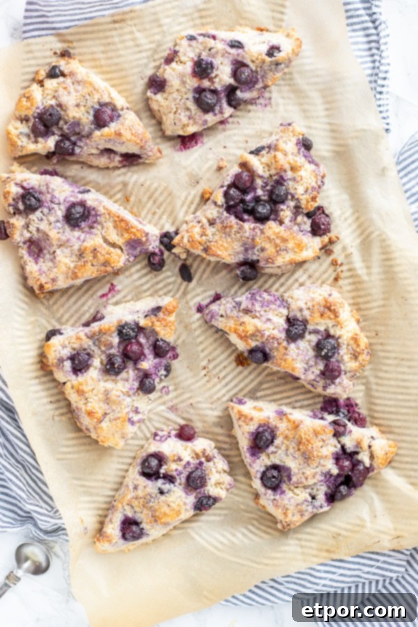 Baked blueberry sourdough scones resting on parchment paper after coming out of the oven.