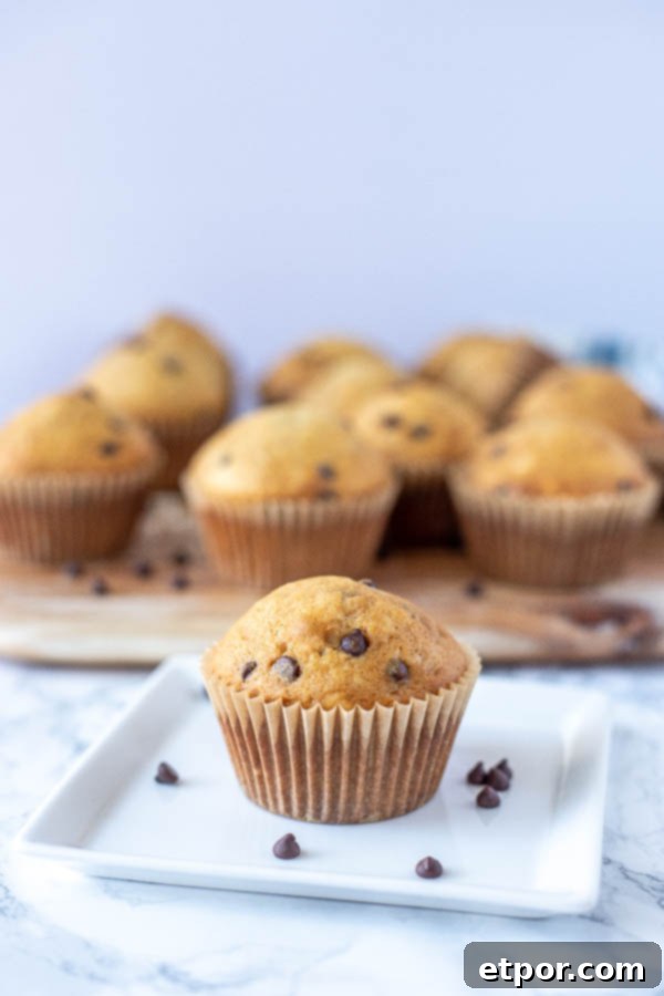 sourdough muffin on a white plate with more muffins in the background on a wood cutting board