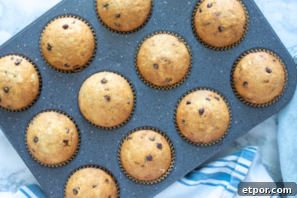sourdough muffins right from the oven in a muffin tin