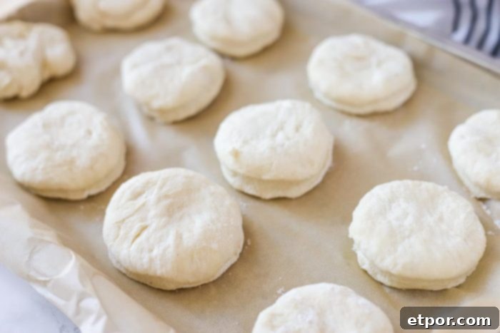sourdough biscuit dough on a parchment lined baking sheet ready for baking