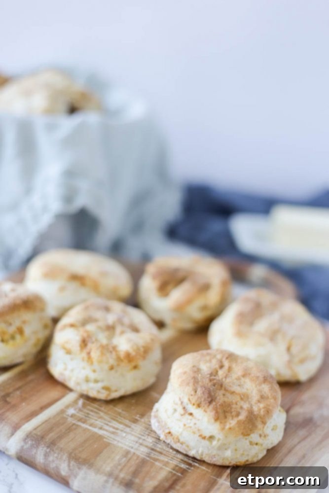 6 sourdough biscuits on a wood countertop with a  lined bowl of biscuits in the background