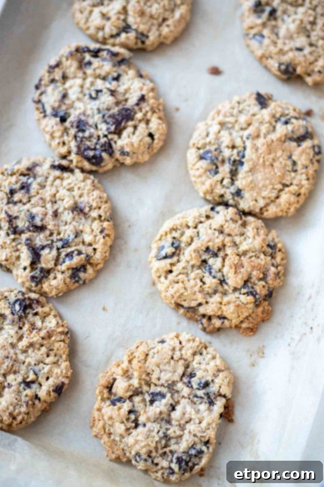 oatmeal chocolate chip cookies on a parchment lined baking sheet