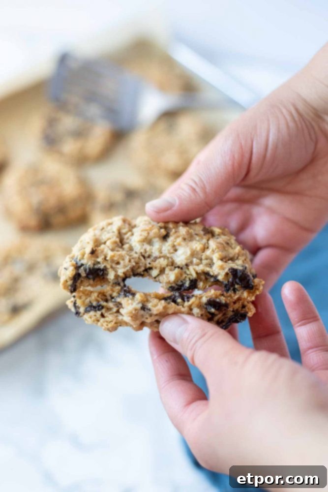 hand holding a chocolate chip oatmeal cookies and breaking it in half