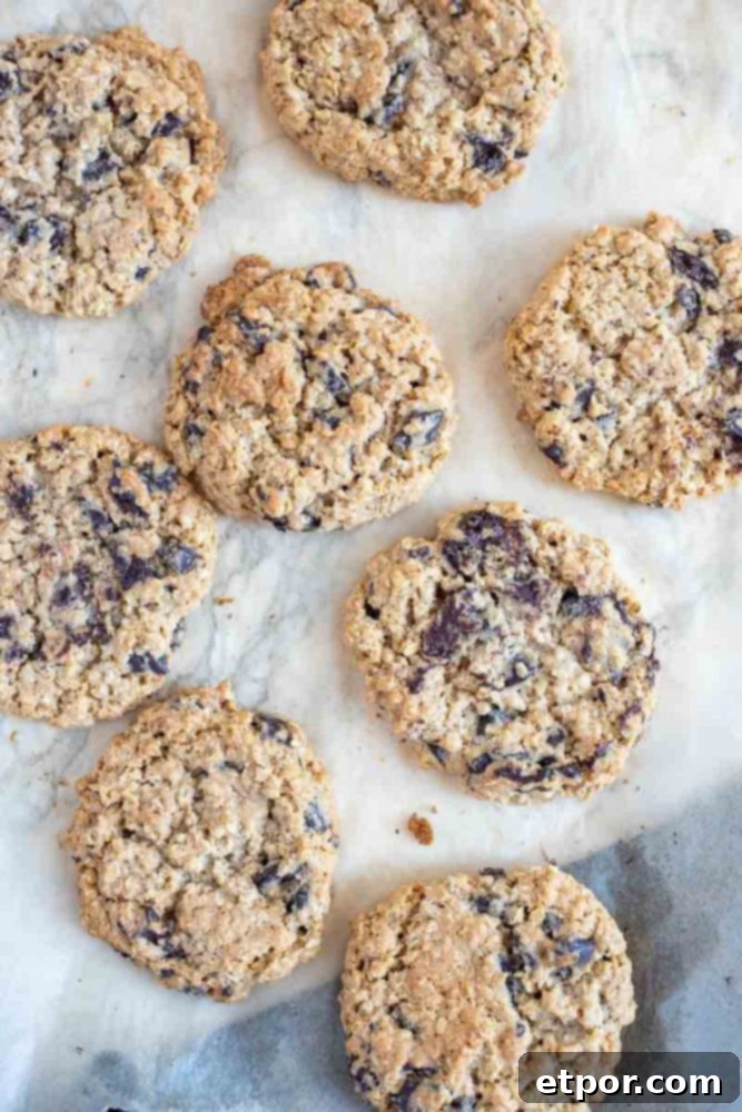 freshly baked oatmeal chocolate chip cookies on parchment paper