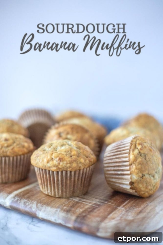 Freshly baked sourdough banana muffins on a wooden cutting board, highlighting their golden brown tops and soft texture.