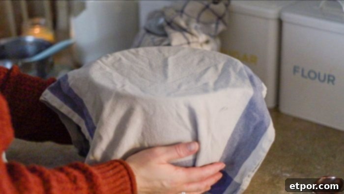 A bowl of sourdough muffin batter covered with a towel, indicating the fermentation process.