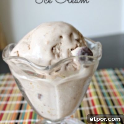 Chocolate Peanut Butter Cup Ice Cream