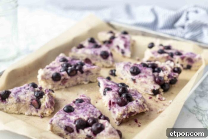 Effortless Sourdough Blueberry Scones 7 Unbaked sourdough blueberry scones, triangularly cut, arranged on a parchment-lined baking sheet, ready for the oven.