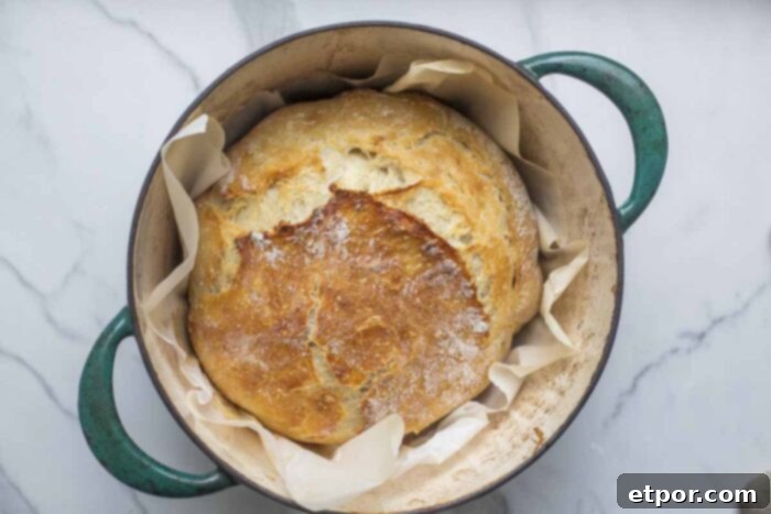 Easy sourdough bread freshly baked in a parchment lined Dutch oven.