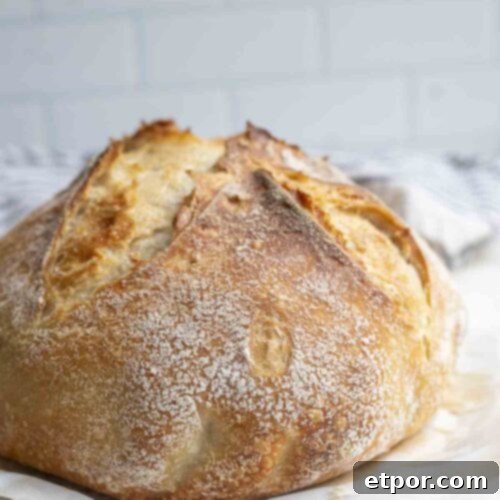 Side view of a freshly baked sourdough bread loaf, showing its crunchy crust and appealing shape.