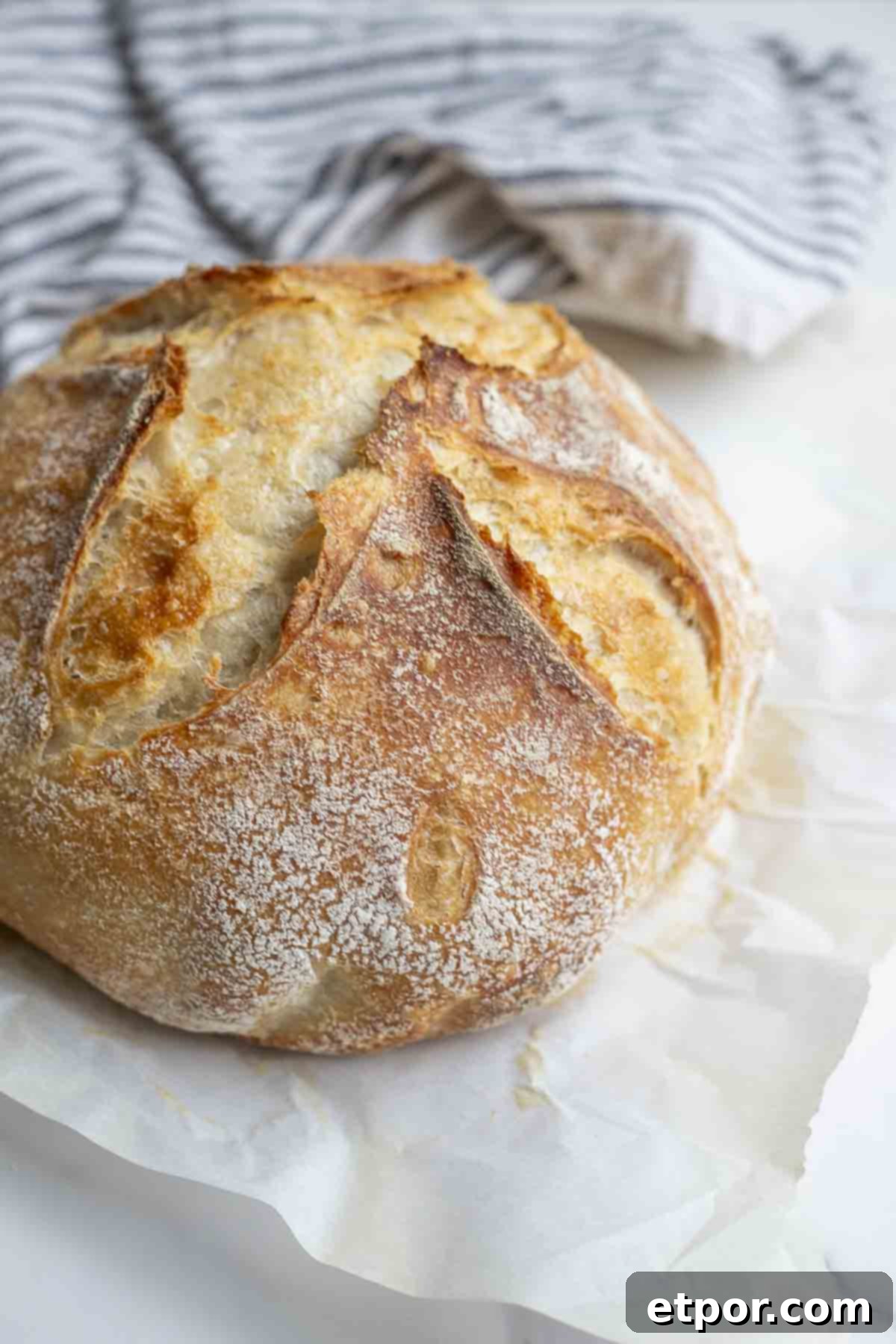 Baked sourdough bread made with unfed starter on parchment paper, cooling on a rack with a towel in the background.