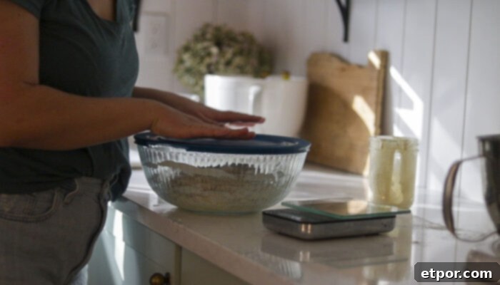 Covering a glass bowl with sourdough dough with a plastic lid.