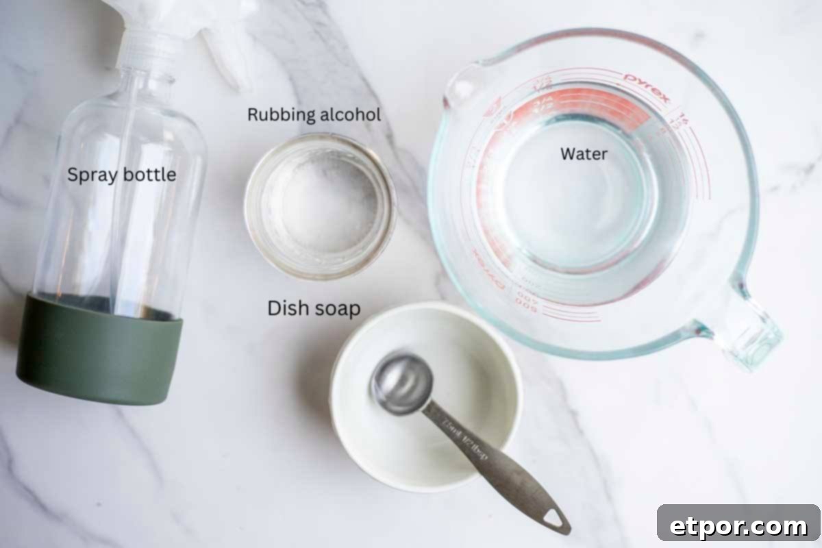 water, rubbing alcohol, and dish soap in containers with a spray bottle to the left.
