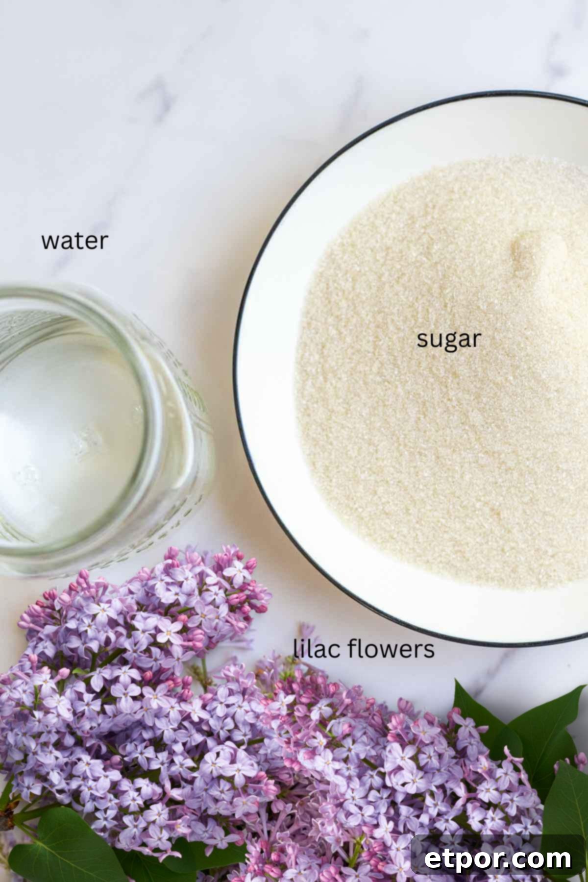 a bowl of sugar, a cup of water, and lilac flowers on a countertop.