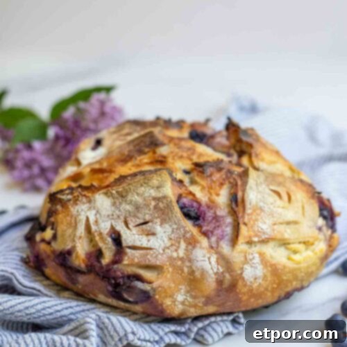 Loaf of sourdough blueberry cream cheese boule on a stripped towel.