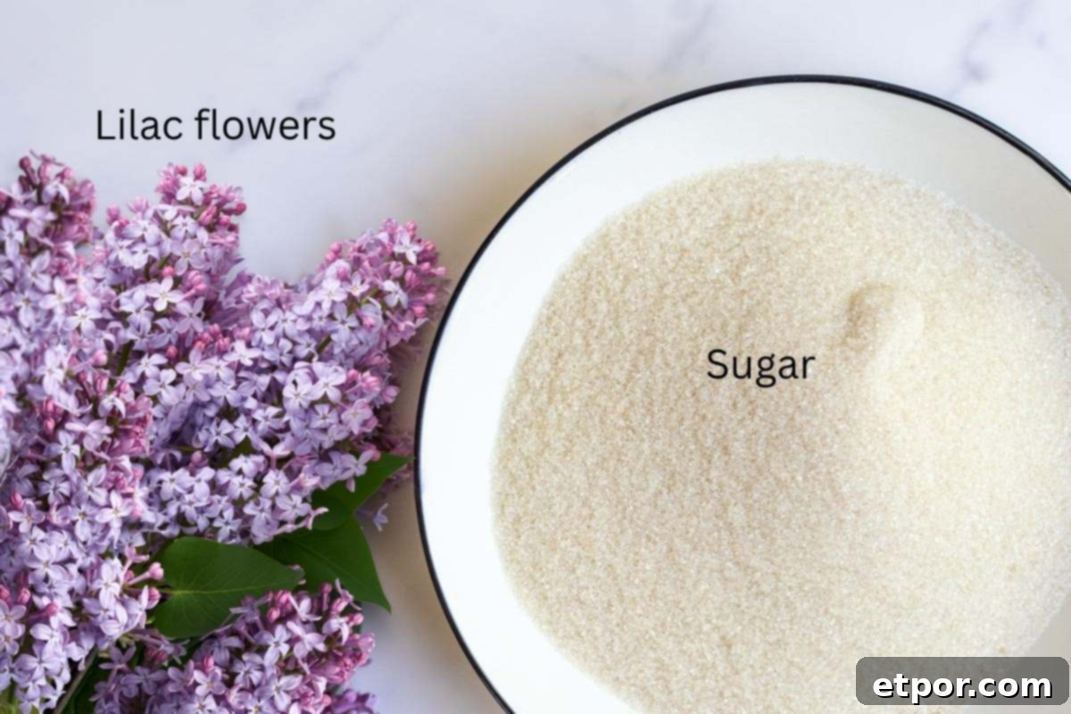 sugar in a bowl next to fresh lilac flowers.