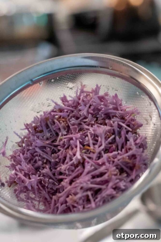Lilac petals rinsed in a fine mesh strainer.