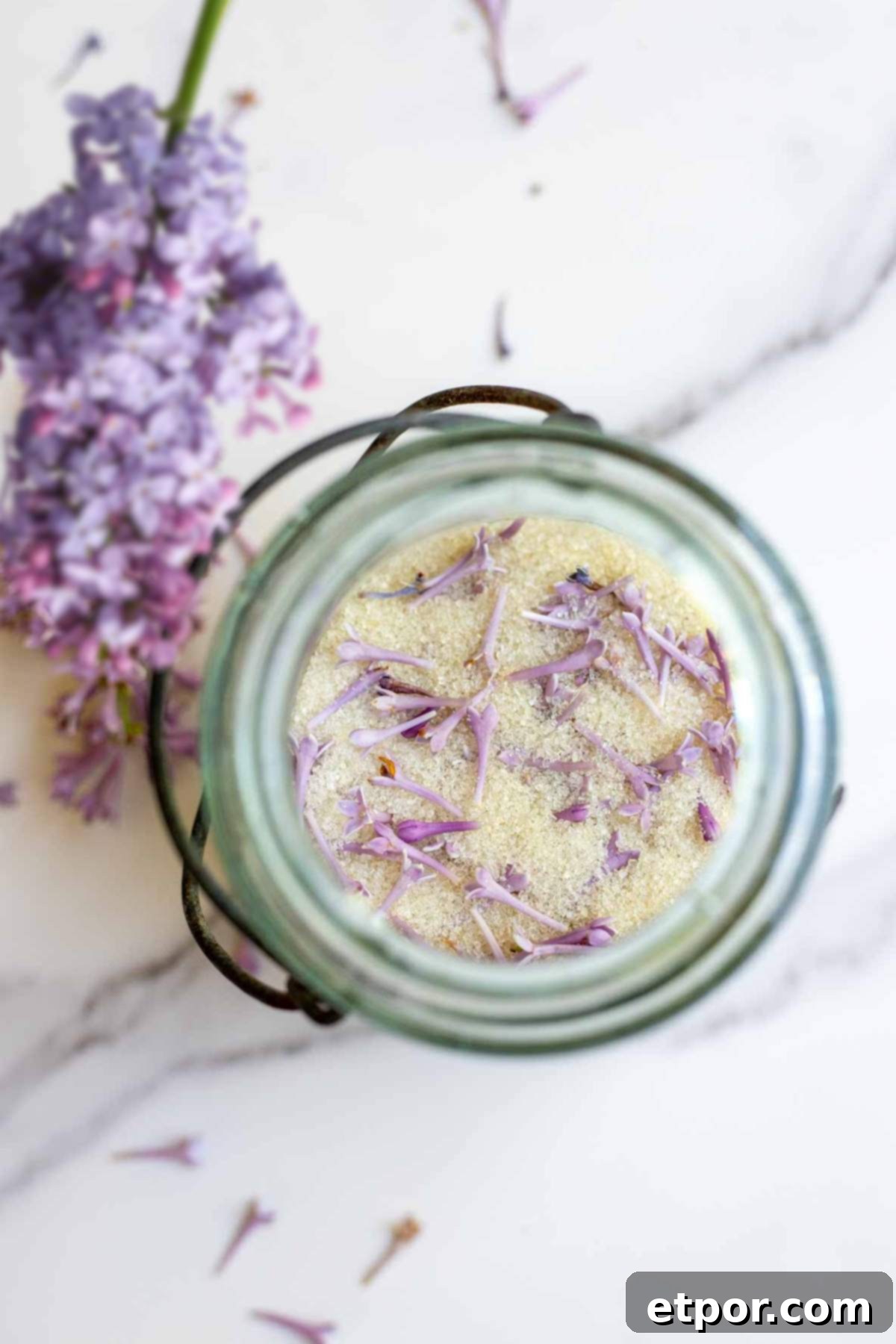 Lilac sugar with fresh lilac flowers in a jar on a countertop.