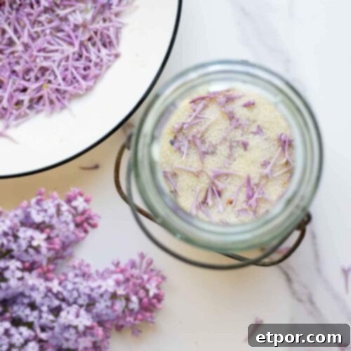 overhead photo of lilac sugar in a jar with lilac flowers surrounding the jar.