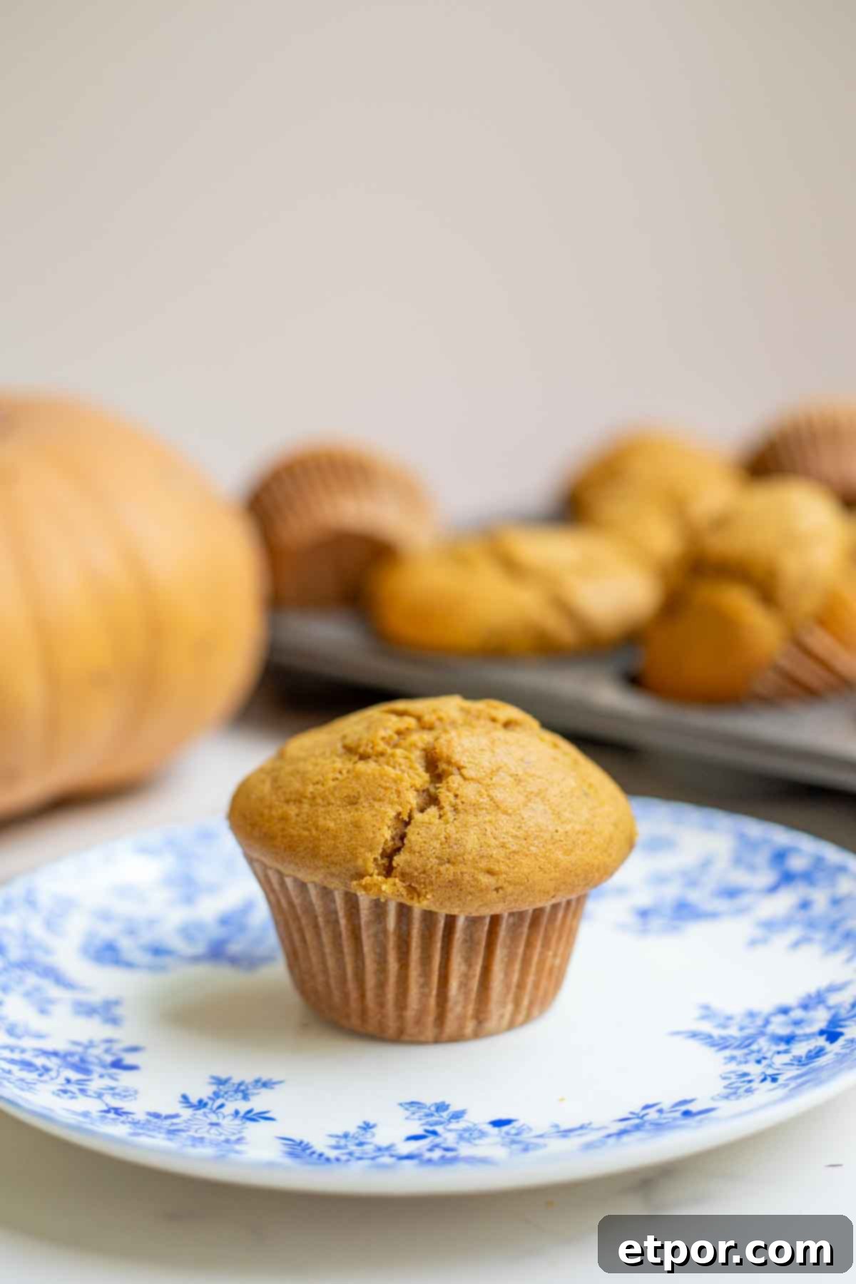 Sourdough pumpkin muffin on a blue and white floral plate with a pumpkin and more muffins in the background.