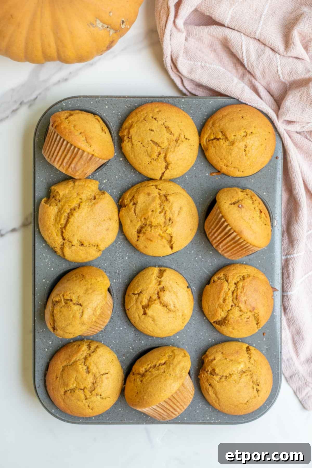 Muffin pan full of sourdough pumpkin muffins next to a pink towel.