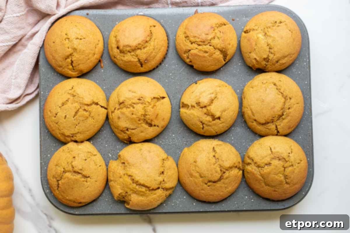 Sourdough pumpkin muffins baked in a muffin tin.