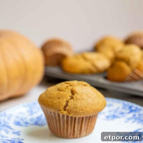 Sourdough pumpkin muffin on a blue and white floral plate with a pumpkin and more muffins in the background.