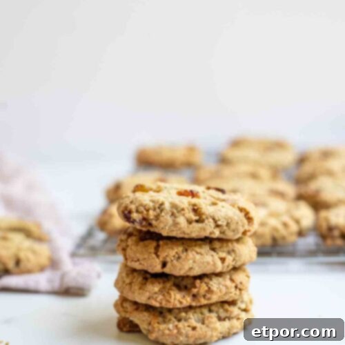 A perfectly baked sourdough oatmeal raisin cookie, close-up.