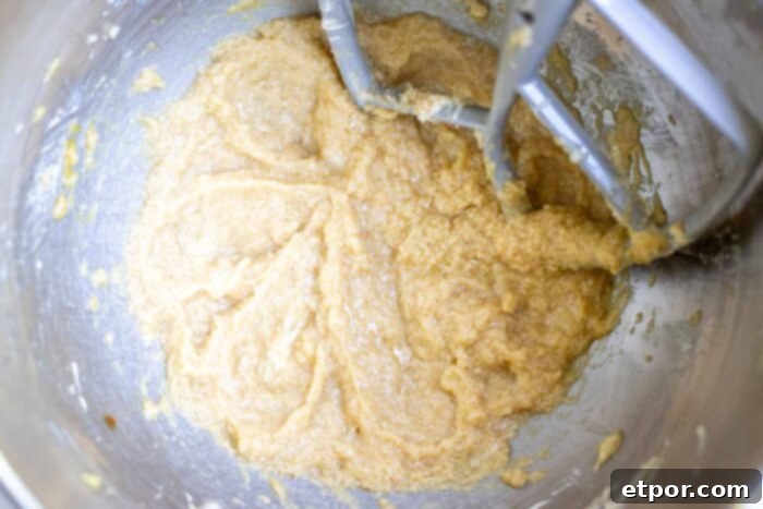Wet ingredients including butter, sugar, egg, vanilla, and sourdough discard in a stand mixer bowl, ready to be mixed.