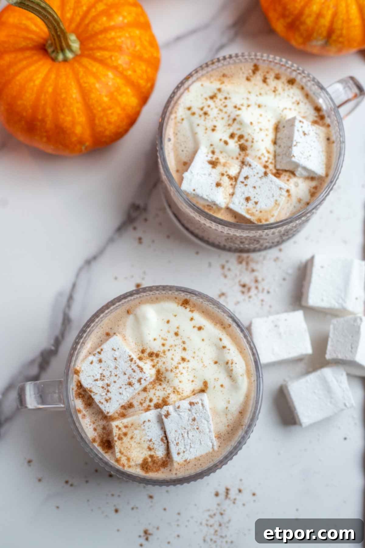 Two pumpkin spice hot chocolate in glass mugs topped with whipped cream, marshmallows and pumpkin spice. More marshmallows and pumpkins surround the mugs.