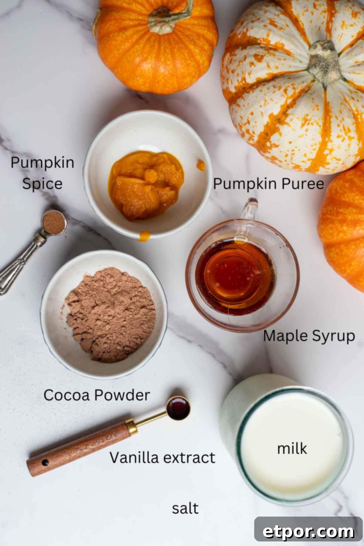 Cocoa powder, pumpkin puree, maple syrup, vanilla extract, milk and other ingredients in cups and bowls on a countertop.