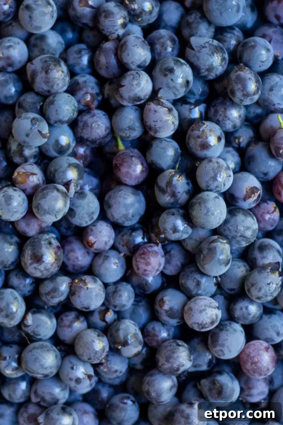 Close up pictures of fresh grapes.