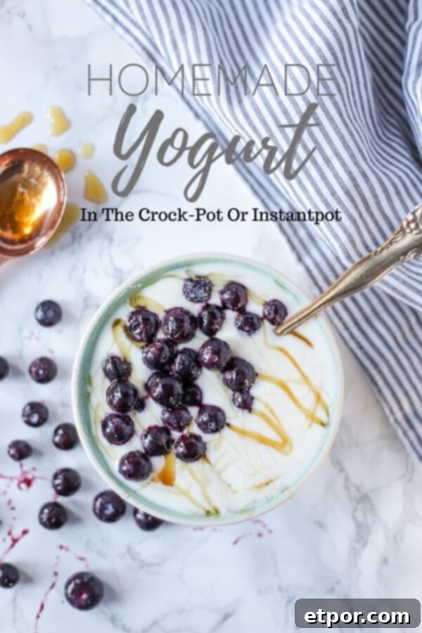 A bowl of creamy homemade yogurt with frozen blueberries and a drizzle of honey, perfectly showcasing a healthy and delicious snack.