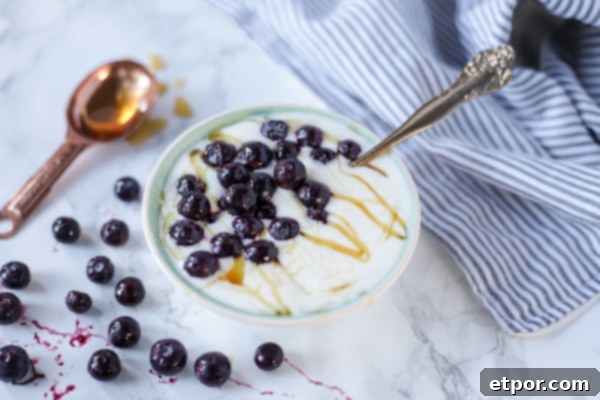 A bowl of fresh homemade yogurt topped with blueberries and honey, with loose thawed blueberries and a spoon of honey in the background.