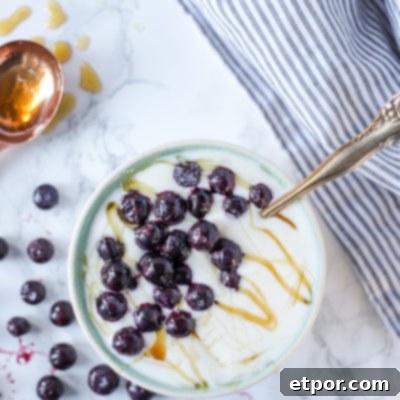 Homemade yogurt in a bowl with fresh blueberries and honey drizzled over it, signifying a healthy and delicious homemade snack.