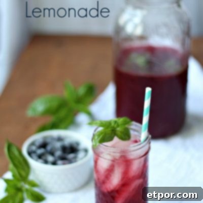 A close-up of a glass of Blueberry Lemonade with Basil, garnished with a fresh basil sprig, highlighting its vibrant color and refreshing appeal.