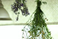 Small Plot, Big Life