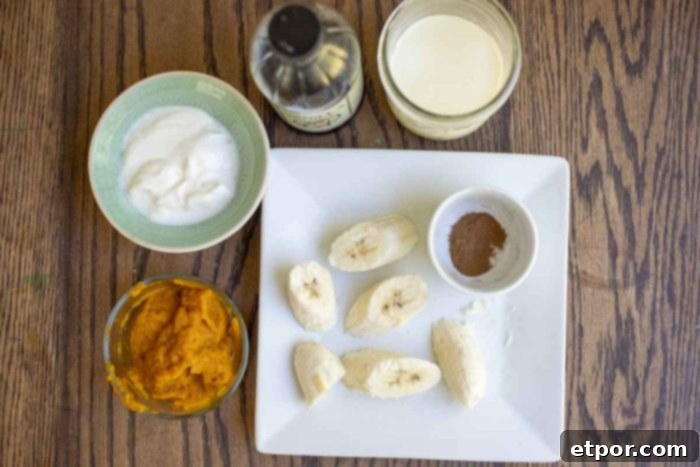 Spiced Pumpkin Pie Bliss Smoothie 5 pureed pumpkin, yogurt, vanilla extract, milk, pumpkin spice, and frozen banana in plates and jars