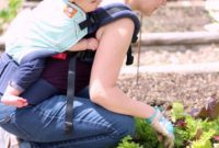 Green Thumbs, Tiny Hands: Gardening with a Baby