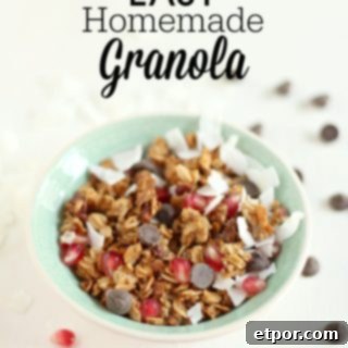 Whip Up Incredible Homemade Granola 6 A vibrant teal bowl filled with homemade granola, adorned with coconut shavings, chocolate chips, and fresh pomegranate seeds, showcasing a delicious and healthy snack option.